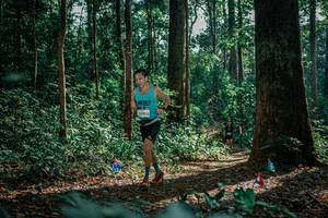 BIB: 
                            <button type="button" onclick="openModal(26132904)" class="btn btn-primary btn-sm float-right btn-popup" data-toggle="modal" data-target=".modal-high-quality">
                        <i class="fas fa-shopping-cart"></i> Add to Cart
                    </button>
                                            <button type="button" onclick="isThisMe(26132904, true)" class="btn btn-success btn-sm float-right btn-popup btn-isme hidden" data-toggle="tooltip" data-placement="bottom" title="นี่คือรูปของคุณใช่ไหม คลิกที่นี่เพื่อเอาเข้าอัลบั้ม">
                        <i class="fas fa-plus"></i> Add to album
                    </button>
                    <button type="button" onclick="isThisMe(26132904, false)" class="btn btn-warning btn-sm float-right btn-popup btn-isnotme hidden">
                        <i class="fas fa-ban"></i> Remove from album
                    </button>